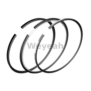 Комплект поршневых колец 12211490 для газового двигателя MWM TCG2020