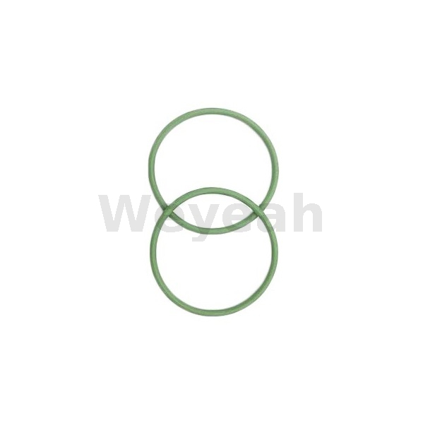 Кольцо уплотнительное 01177727 для газового двигателя MWM